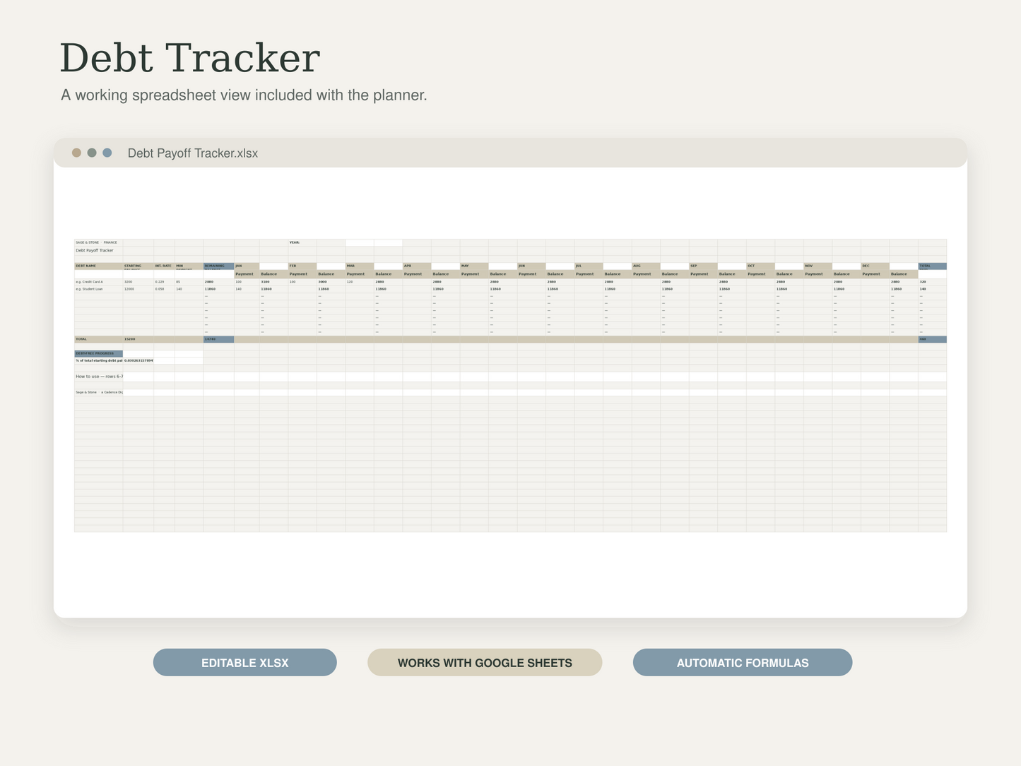 Debt Payoff Tracker — Sage & Stone
